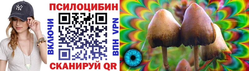 Псилоцибиновые грибы Psilocybe  Купить закладки  Балашиха 